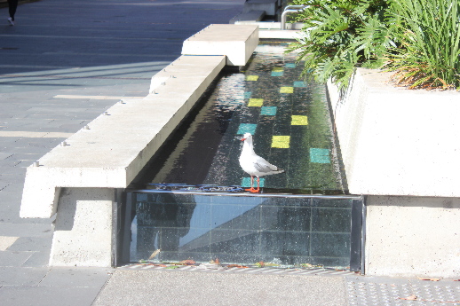 1193.jpg