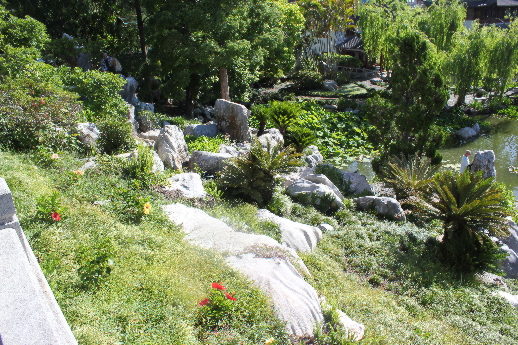 1231.jpg